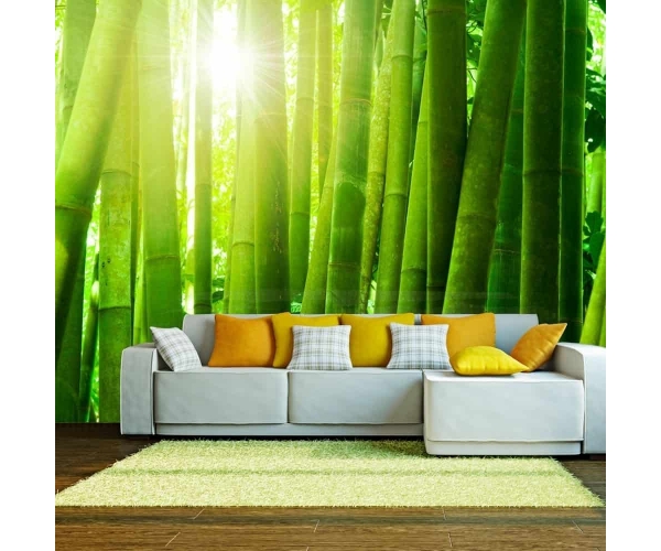 Fototapeta - Słońce i bambus