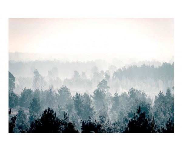 Fototapeta - Zimowy las