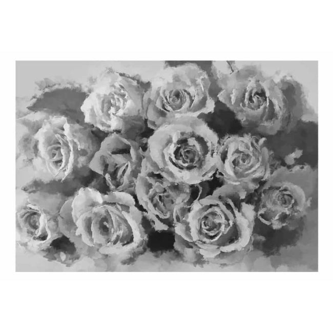 Fototapeta - Kwiaty A dozen roses