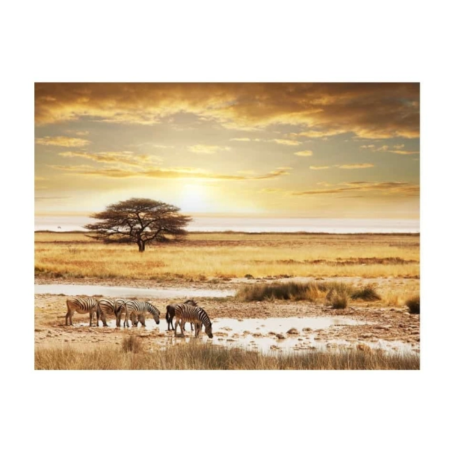 Fototapeta - woda zebry drzewo krajobraz