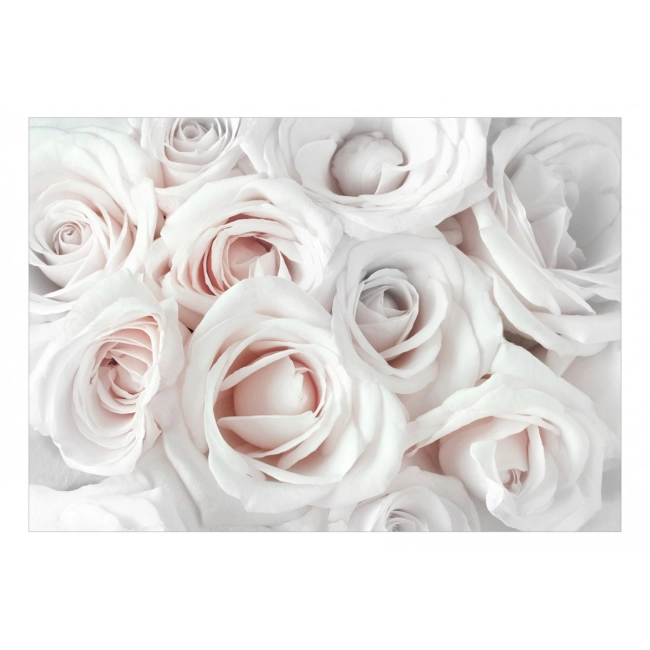 Fototapeta - Róże różowe