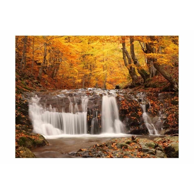 Fototapeta - jesień las wodospad