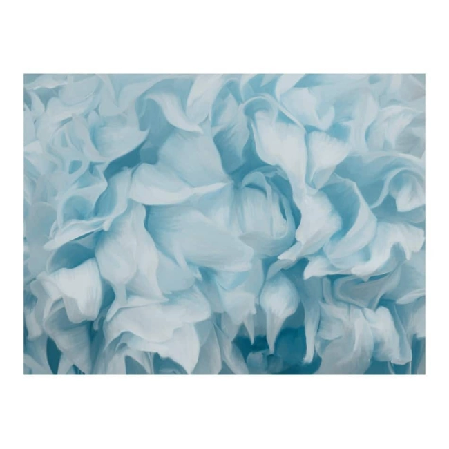 Fototapeta Kwiaty Azalia (niebieski)