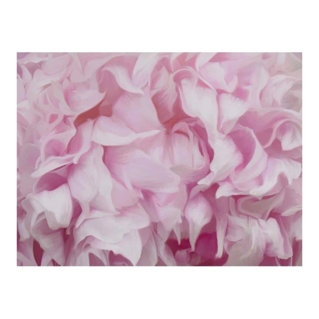 Fototapeta Kwiaty azalia (różowy)