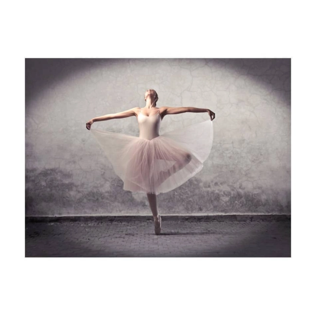 Fototapeta baletnica