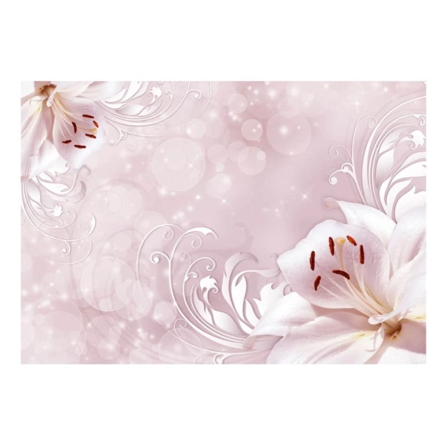 Fototapeta -kwiat zawijasy blady róż