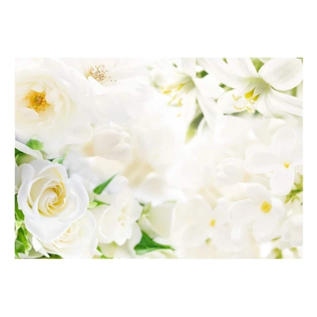 Fototapeta Kwiaty białe