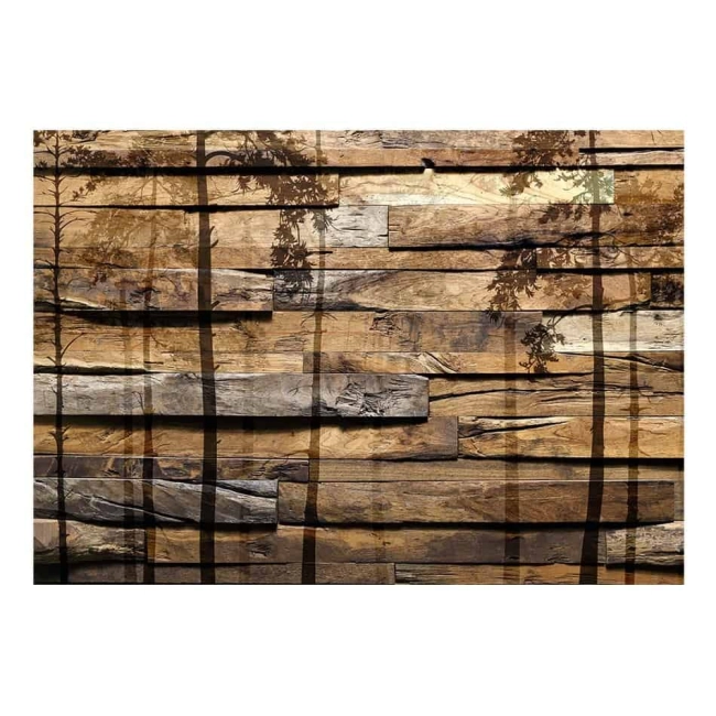 Fototapeta - drewniana ściana i cień drzew