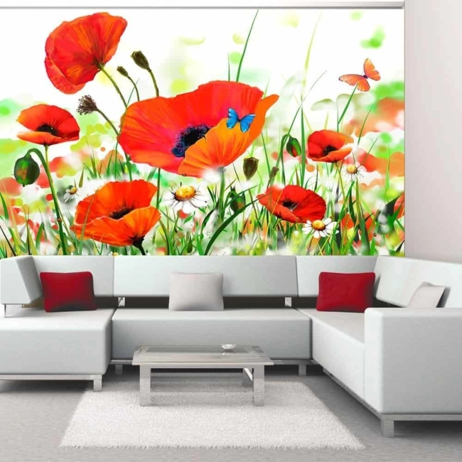 Fototapeta - Country poppies