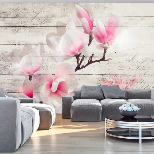 Fototapeta -Biało rózowe magnolie