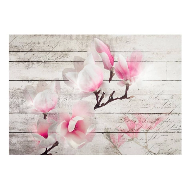 Fototapeta -Biało rózowe magnolie