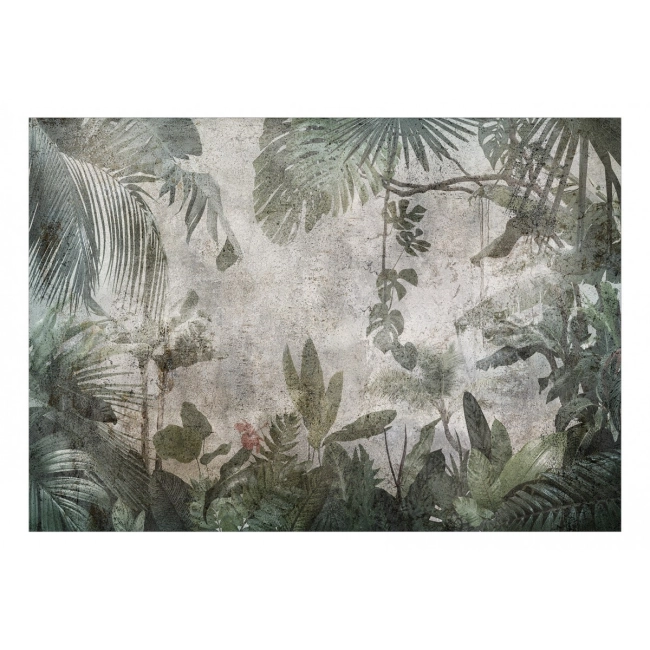 Fototapeta - Blado zielone liscie deszczowy las we mgle
