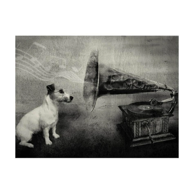 Fototapeta - Dog's melodies