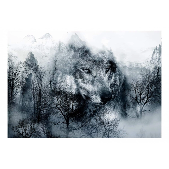 Fototapeta - las wilk nowoczesny las we mgle góry