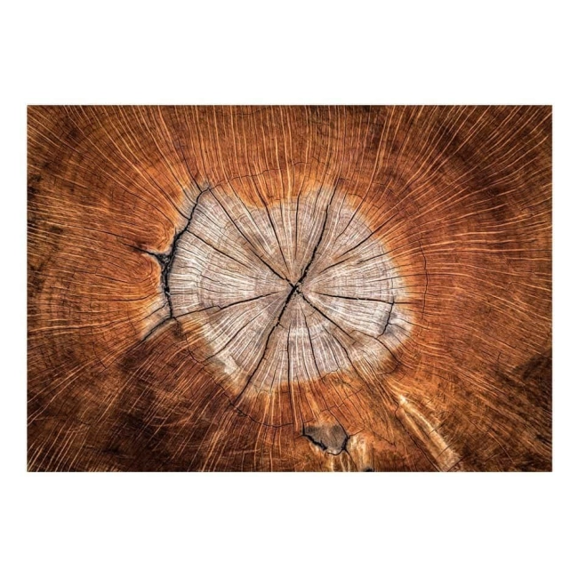 Fototapeta - Dusza drzewa