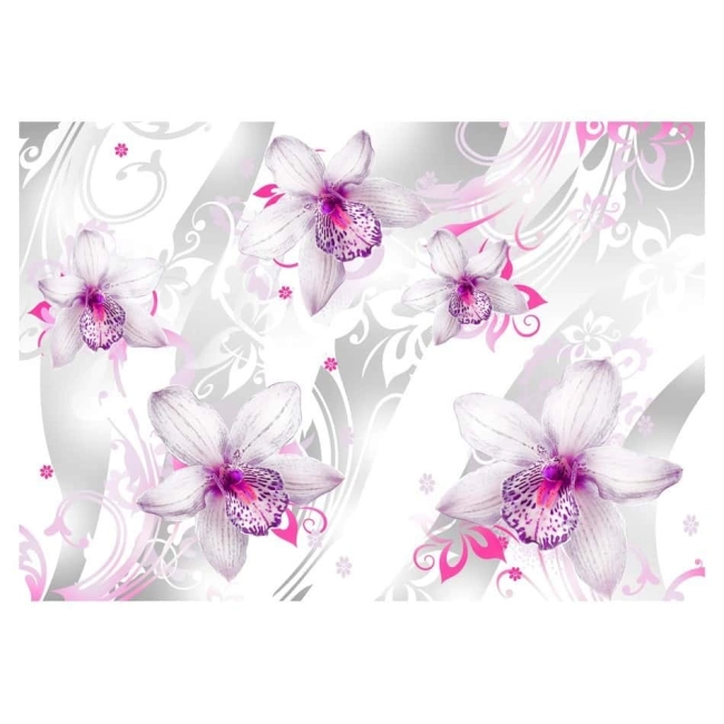 Fototapeta -fioletowe kwiaty