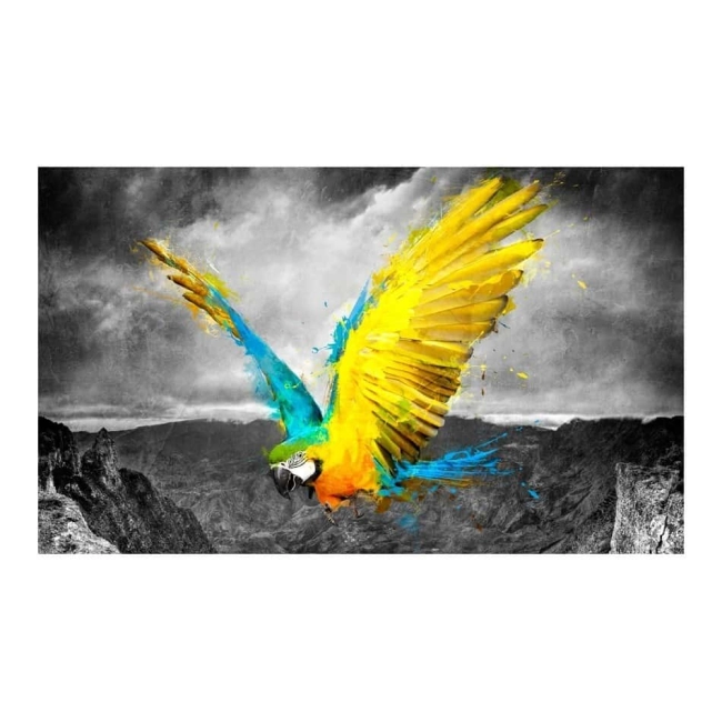 Fototapeta - Exotic parrot