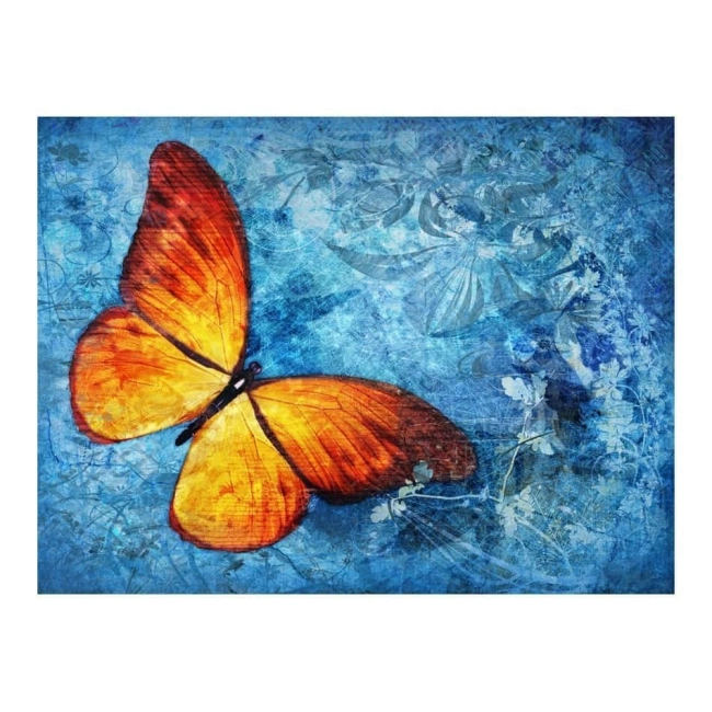 Fototapeta - Fiery butterfly