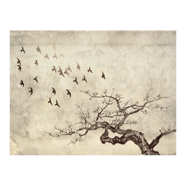 Fototapeta - czarne ptaki i drzewo