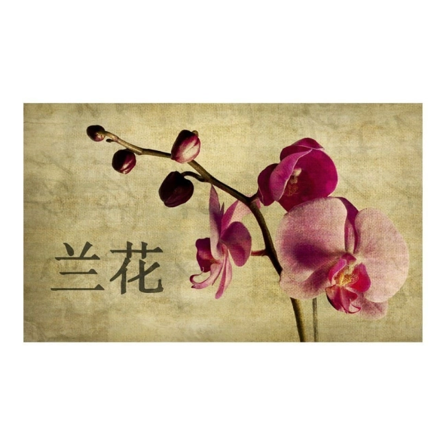 Fototapeta - Japanese orchid