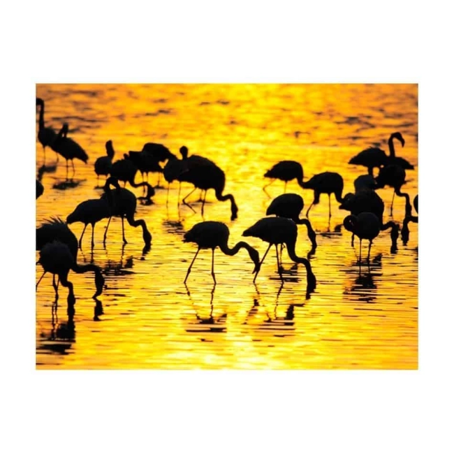 Fototapeta - Kenia - flamingi na jeziorze Nakuru