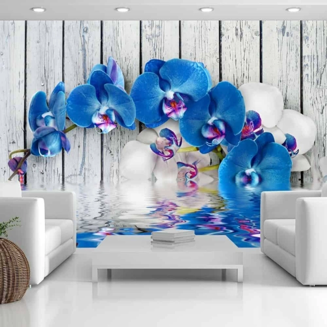 Fototapeta 3D kwiaty Kobaltowa orchidea
