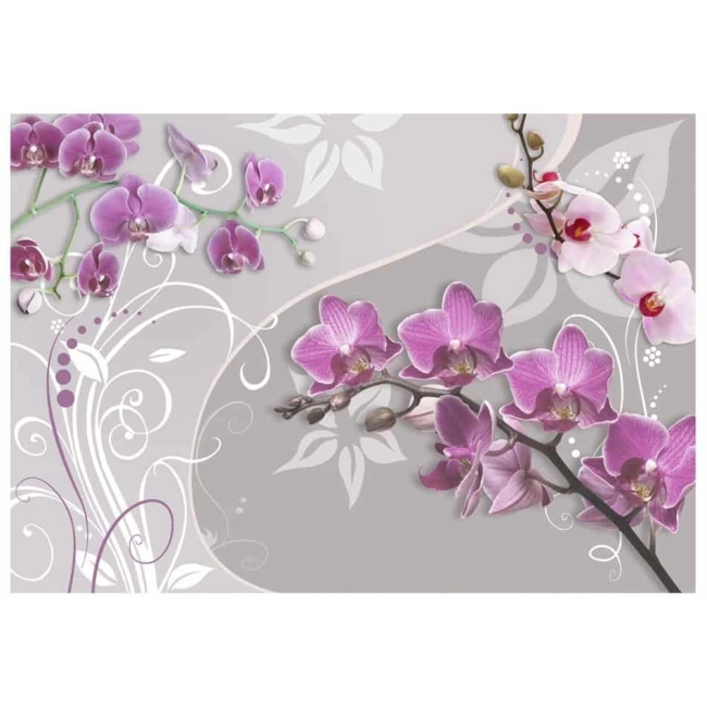 Fototapeta - Lot purpurowych orchidei