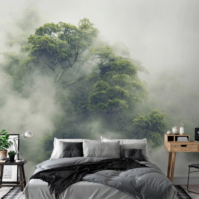 Fototapeta mgła las we mgle Mglista Amazonia