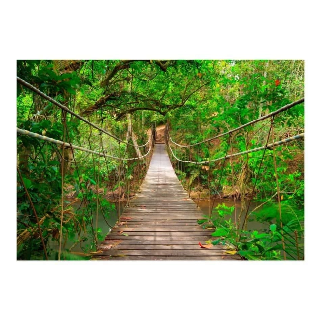 Fototapeta 3D Las dżungla liście Most pośród zieleni