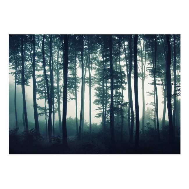 Fototapeta mgła Mroczny las do sypialni