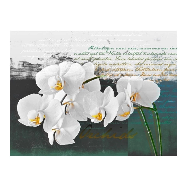 Fototapeta - Orchidea - inspiracja poety