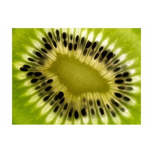 Fototapeta - owoce: kiwi