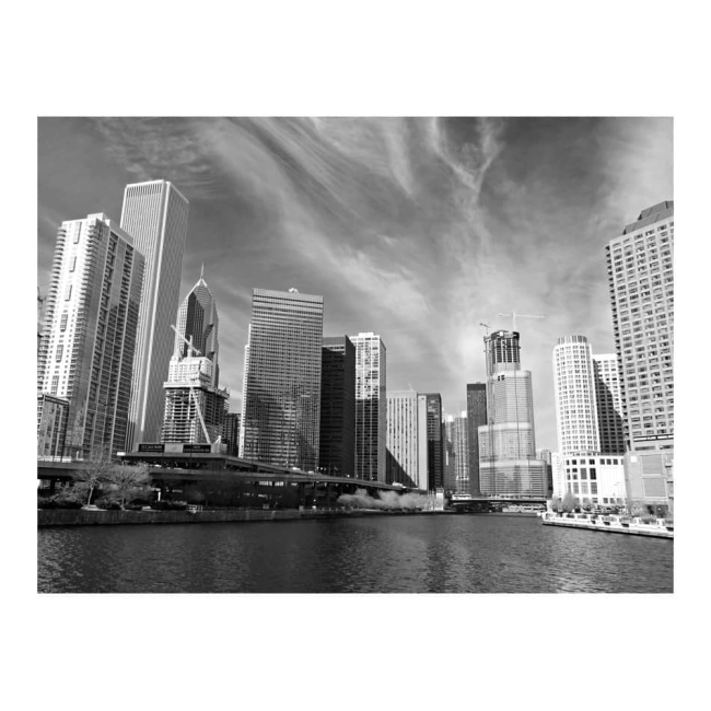 Fototapeta - Panorama Chicago (black and white)