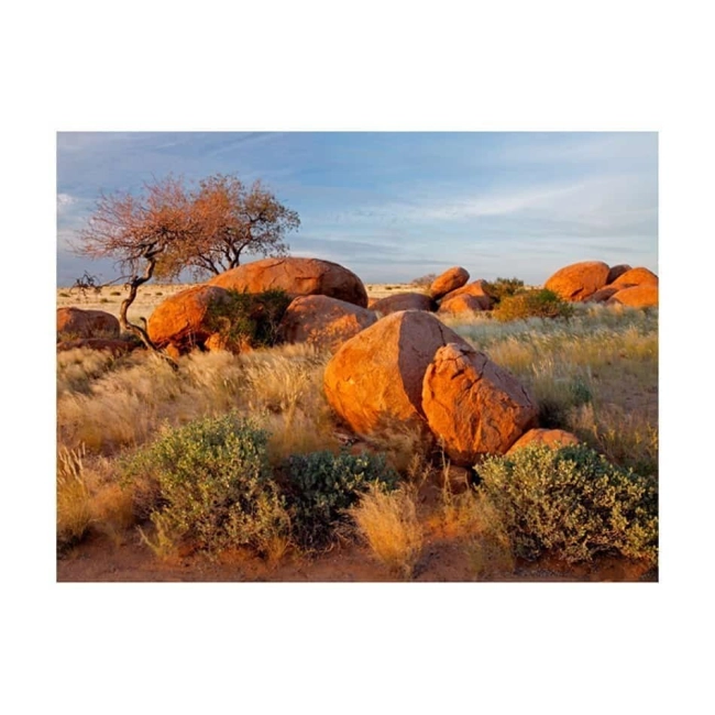 Fototapeta - Pejzaż afrykański, Namibia