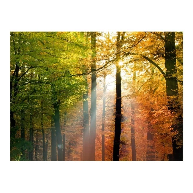 Fototapeta - Piękna jesień
