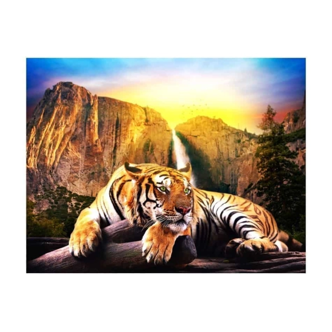 Fototapeta - Piękno i bestia Tygrys