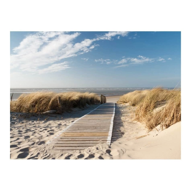 Fototapeta 3D morze Plaża Morza Północnego, Langeoog