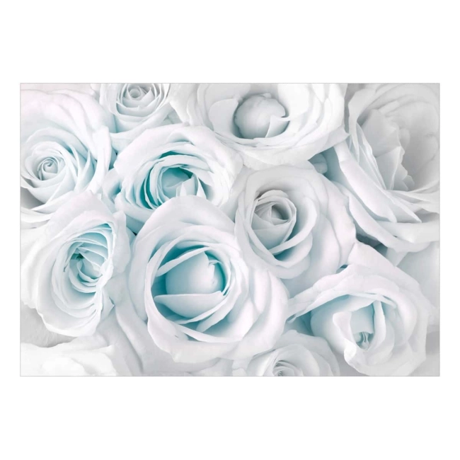 Fototapeta samoprzylepna - róża błękitna natura bukiet