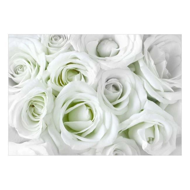 Fototapeta samoprzylepna - zielone róże natura bukiet kwiatów