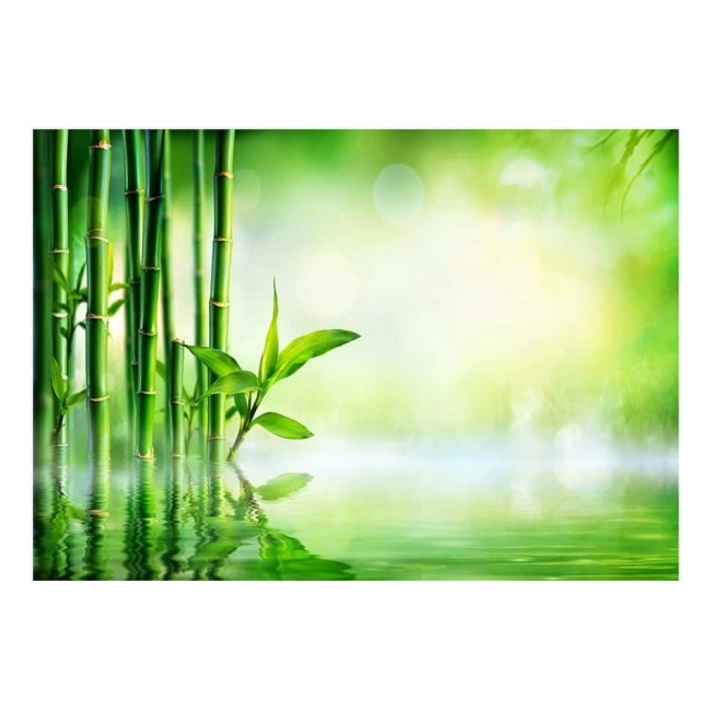 Fototapeta samoprzylepna - gaj zielony bambus woda