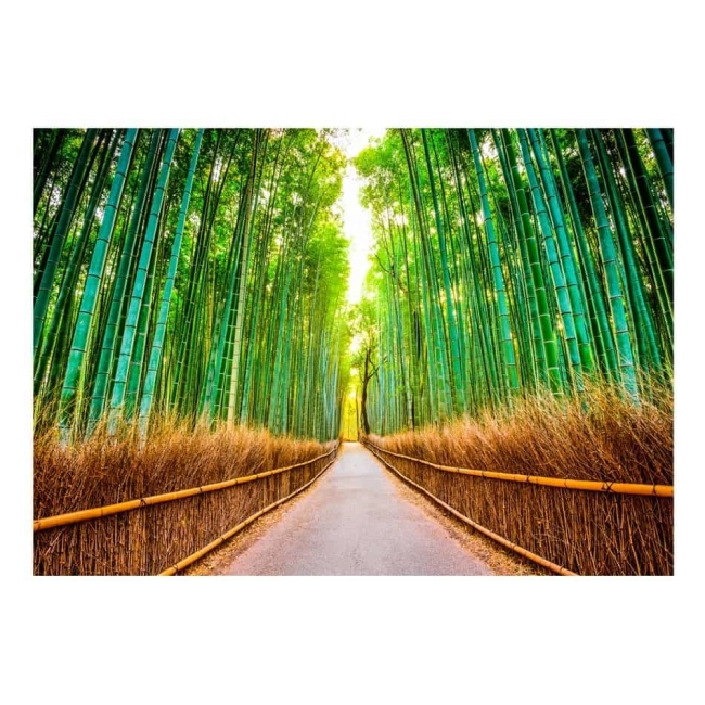 Fototapeta samoprzylepna - las bambusów ścieżka w rolce