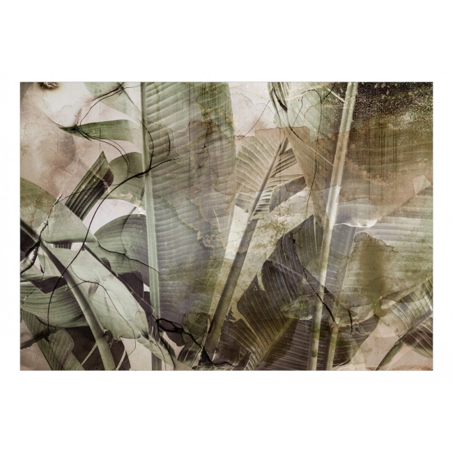 Fototapeta samoprzylepna - liście vintage dżungla bambus