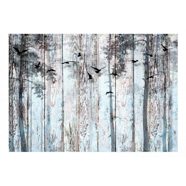 Fototapeta samoprzylepna - błękitne deski ptaki tapeta w rolce