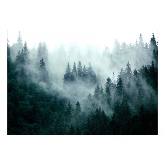 Fototapeta samoprzylepna - Górski las (ciemny zielony)