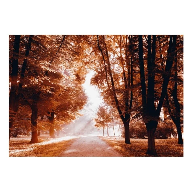 Fototapeta samoprzylepna - Jesienny park