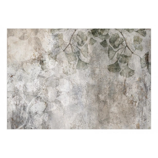 Fototapeta samoprzylepna - Jurajski miłorząb liście beton