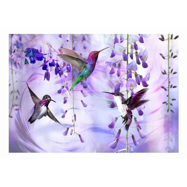 Fototapeta samoprzylepna - Latające kolibry (fioletowy)