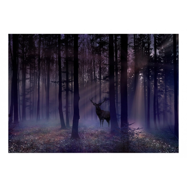 Fototapeta samoprzylepna - Mistyczny las - drugi wariant