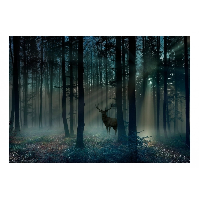 Fototapeta samoprzylepna - Mistyczny las - trzeci wariant