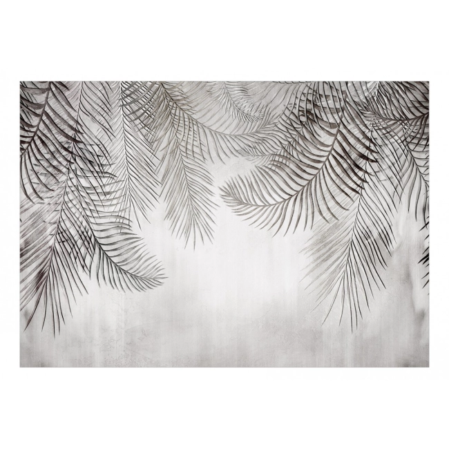 Fototapeta samoprzylepna - Nocne palmy